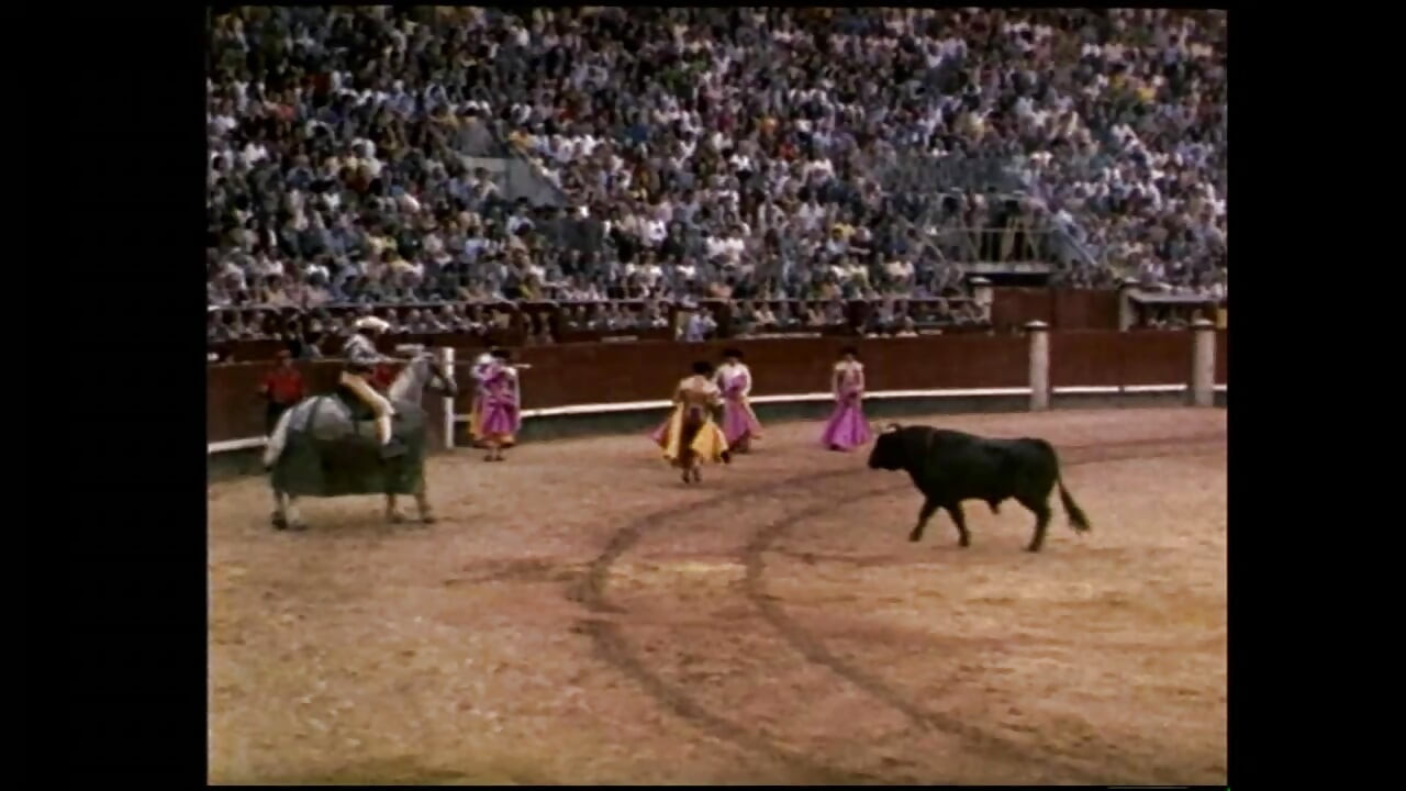 Torero (Cijeli film)