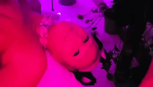 Pretty Party Smokey Kitty