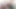 彼女はほとんど人と一緒に暮らすことになっていない