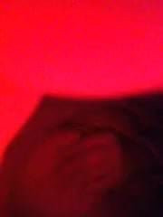Pussy , ass , tits