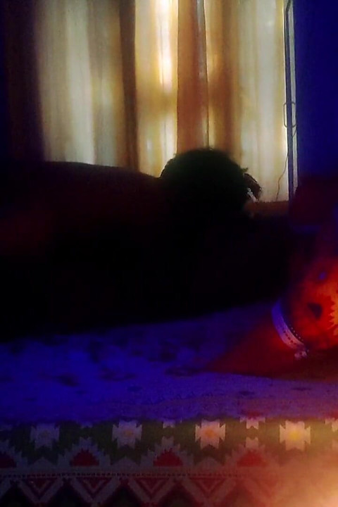 Honeymoon Night Bhabhi with BBC Part 3