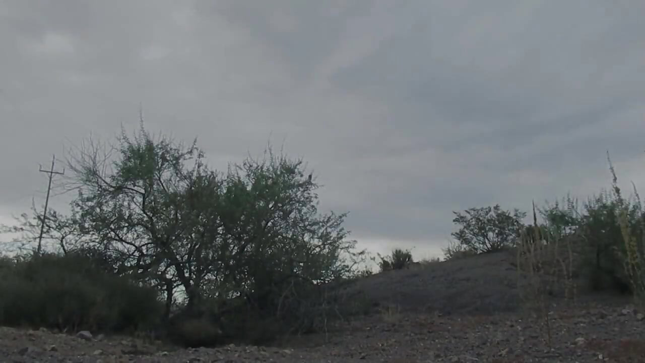 Jerking off Outside After Visiting a Friend