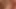 Red haired skinny hairy wife in fishnet stockings shared