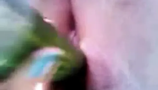 Filling pussy with cucumber
