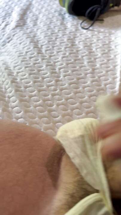 Rare Belted Pad Cum
