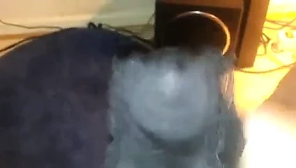 külot ile eğlenceli