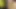 desi gaon bhabhi tight chut devar ke saath outdoor sex desi gaon hot ​​bhabhi sex