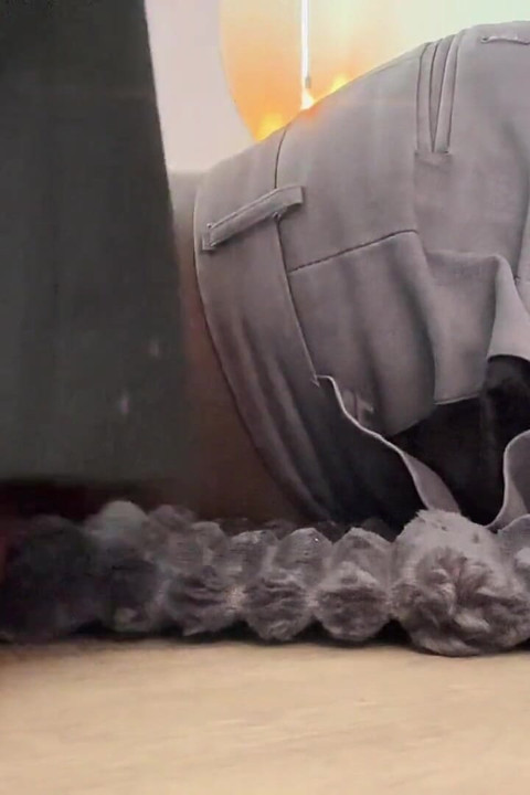 Femdom Foot Fetish Domination
