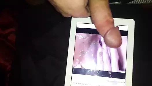 tanika üzerinde Cuming
