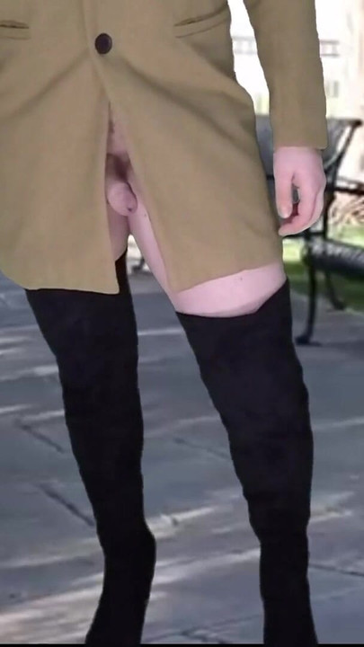 Iconic moment from "Shemale dick flash in public park"