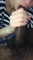 Vinamr saphed kutiya