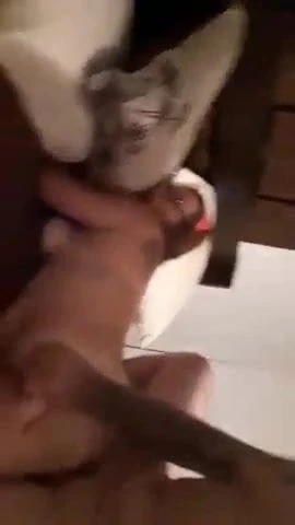 friend’s wife being fucked by our other friend