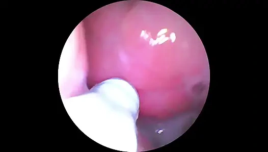 Камера в! Исследуя Gianna