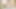 Large bottle anal masturbation