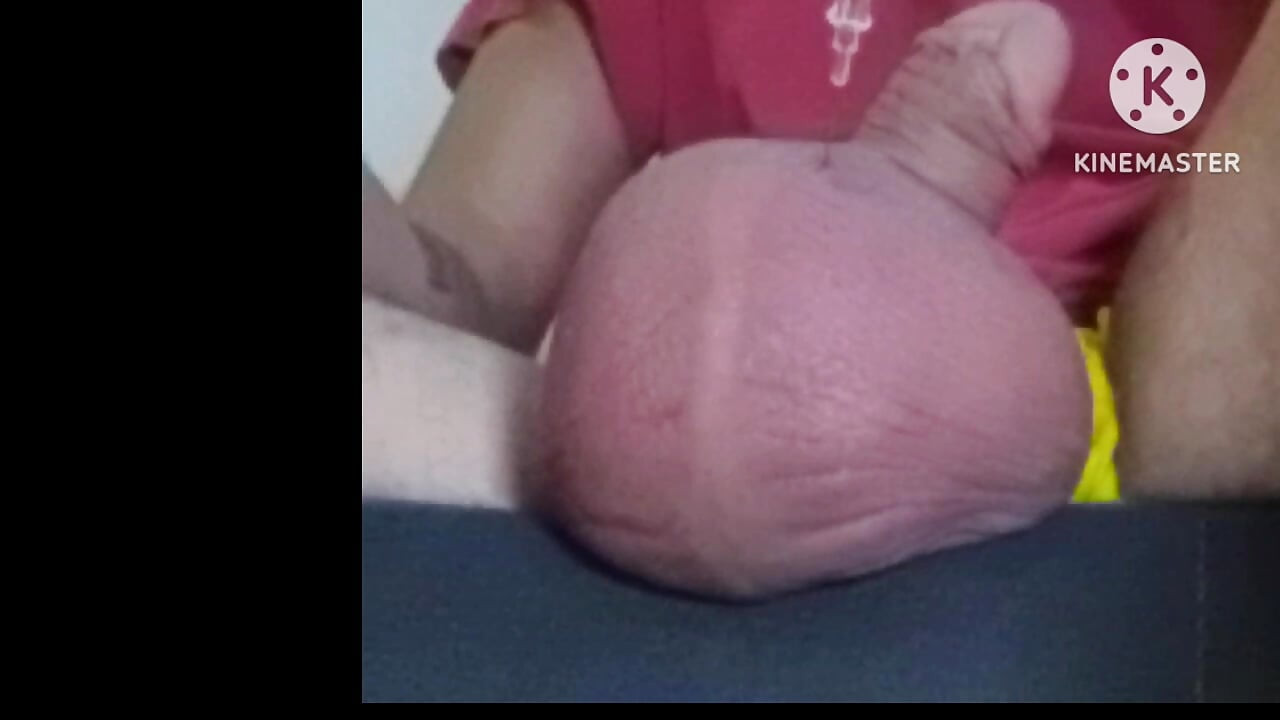 استمتاع بزراعة البطيخ 🍉 الخاص بي