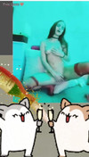 Pregled videozapisa