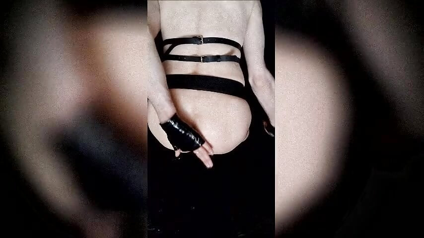 Valp liker en svart dildo