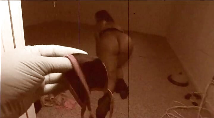 Beautiful Young Black Girls with Big Ass Fucked and Cummed in Pussy by Monster Black Cocks