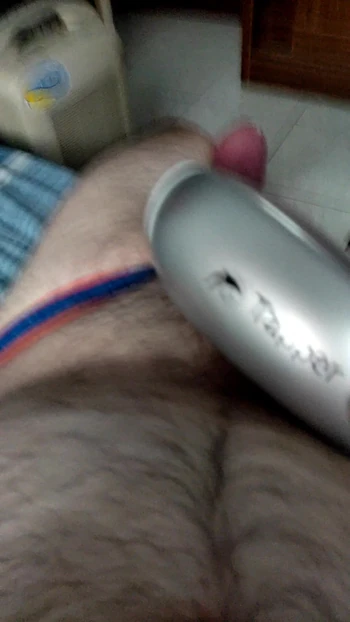bear dick