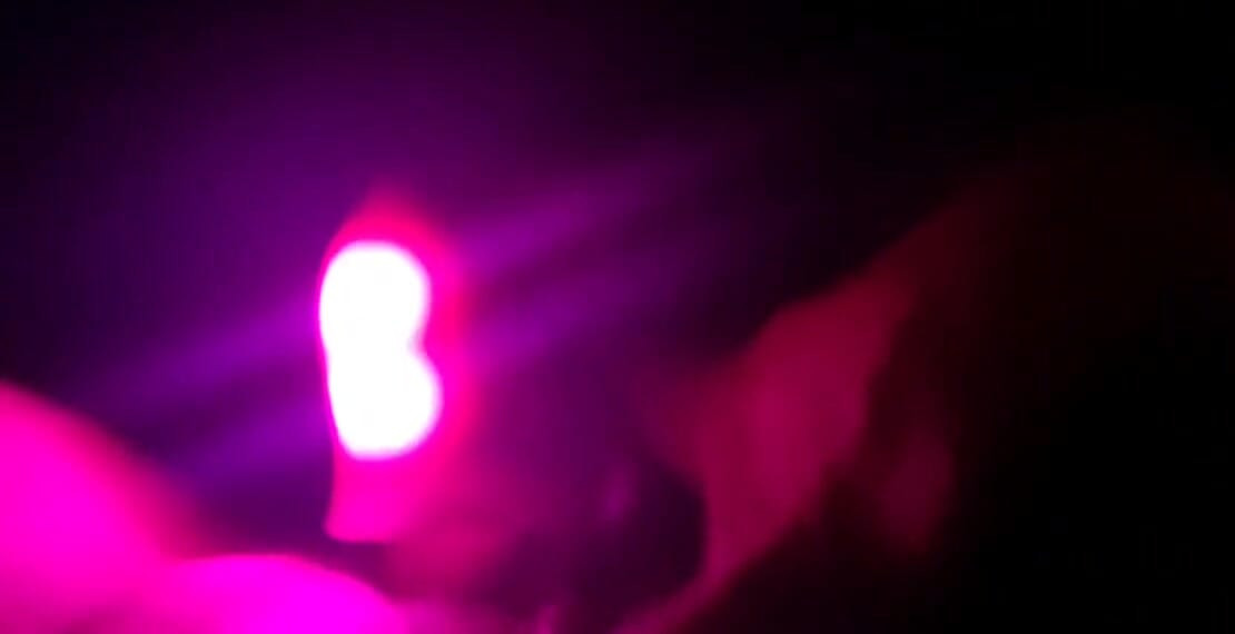 Filthy fun with Lil Tongue