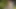 VRB TRANS Redhead TGirl Taking Dildo Under Water VR Porn