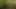 Tasks from the Master 09.07.2019