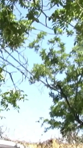 Epic moment from "Short Hair College Girl Haileey James Pickup and Fuck by White Monster Cock"