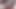 My Parent Called Me While I Was Jerking off and Showing My Ass to the Camera