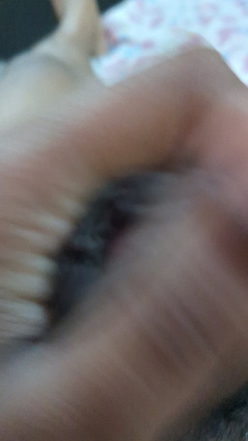 Shishn