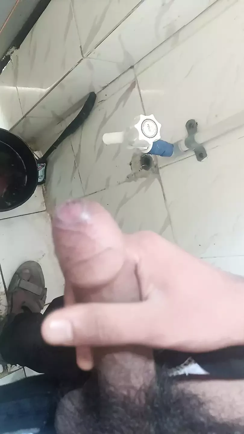 화장실 주인