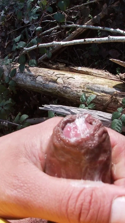 Hairy Jock Strokes Harder in the Forest and Talks Filthier Than Ever - Verbal JOI Part 2