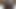 Black BBW Sucking Dick