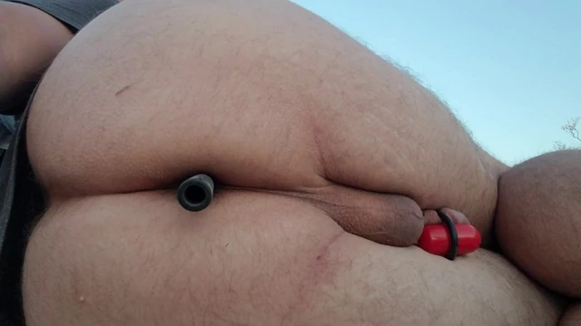 Insertion