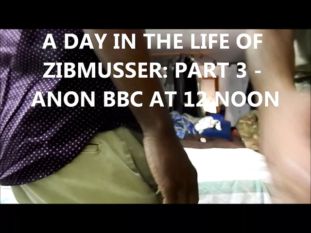 SOLDIER ZIBMUSSER BRED BY BBC