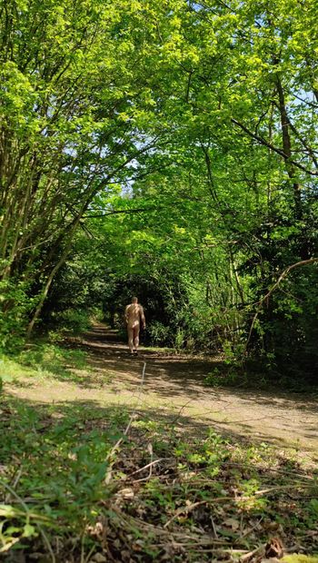 Pembantustonenakedman berjalan telanjang di Bluebell Hill woods.