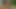 Romantik çift tutkulu açık sevişmenin tadını çıkarıyor