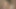 Chickpass - alisha adams bazı pov saksocu yapar