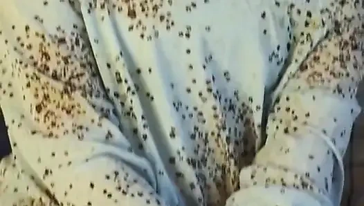 Cewek manis rambut pirang dengan toket yang ditindik lagi asik ngusap memeknya di ruangan casting