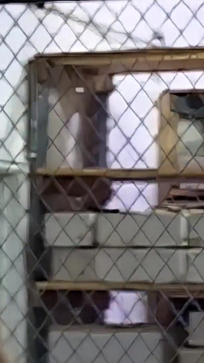 Thrilling moment from "Blonde teen visits stepdad at work and gets her sweet puss stuffed and gets a huge facial load!"