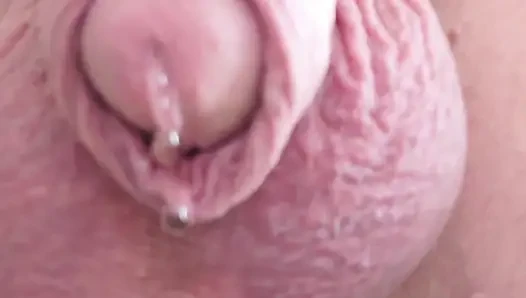 Kalın Skrotum Ve Küçük Penis Ile Işemek
