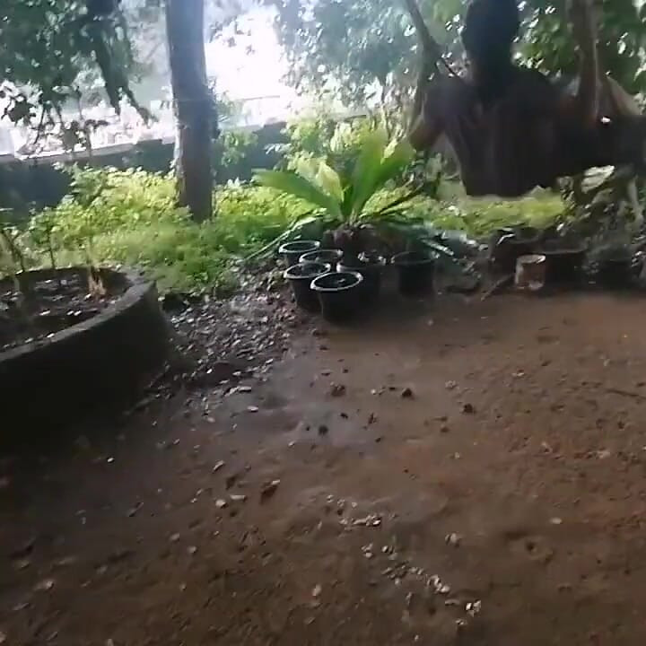 I Found This Sexy Sex Working Baby Whore From the Beach