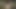 erkeklere ihtiyacımız yok
