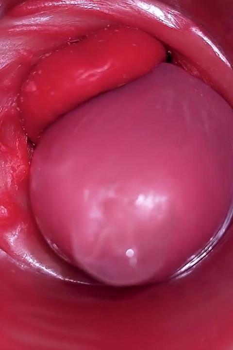 Inside a Camgirl Cervix POV Camera in Vagina with Big Dick Toy