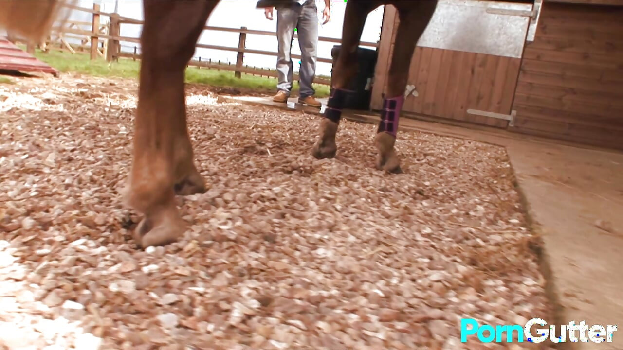 बड़े स्तनों वाली फार्म वाली लड़कियां दो मर्दों को जोरदार चुदाई के लिए बहकाती हैं