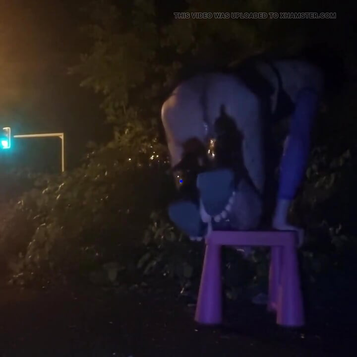 A whore in a mini-skirt with her ass, on the edge of the N7 in Brunoy. 2h00 Vanessabitchx Parischiennetrvprod⁹¹