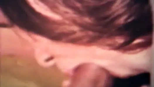 Das Schwein Lutscht Schwanz