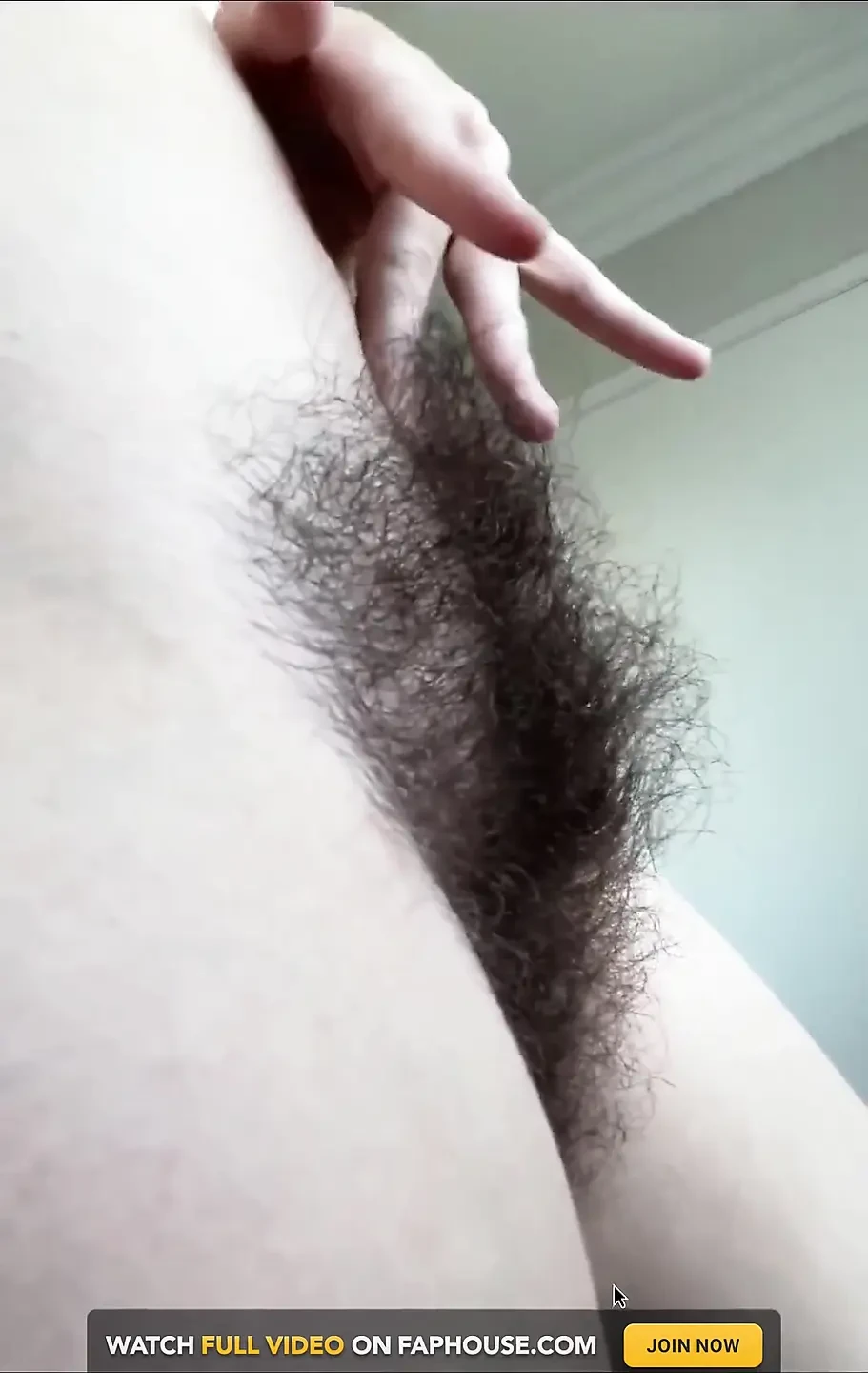 Huge Thick Bush Worship