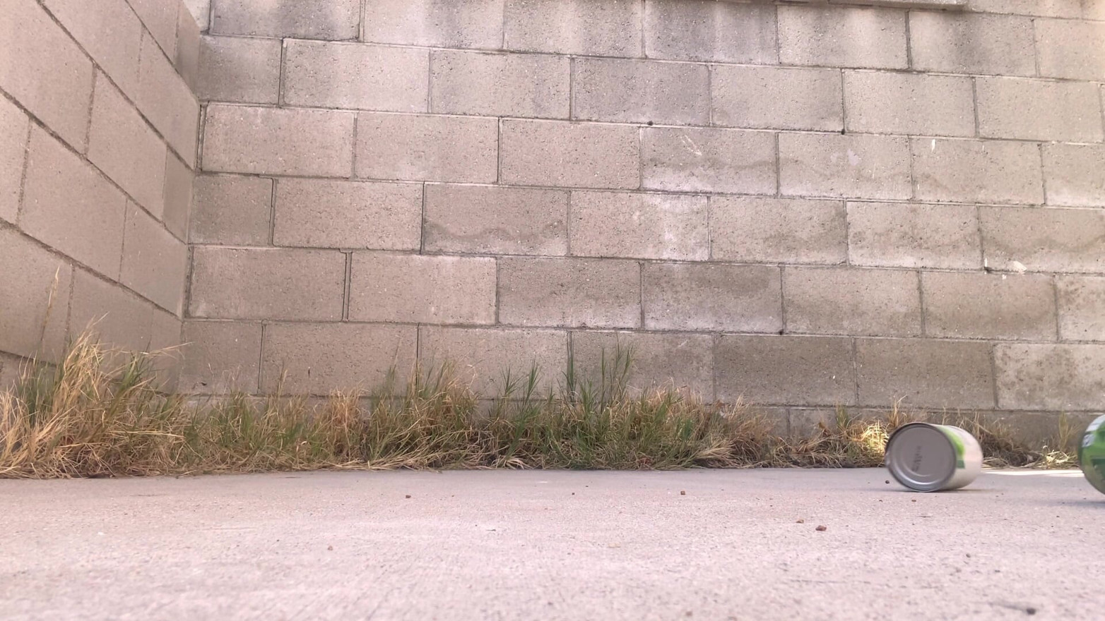 Crushing Cans in Sneakers