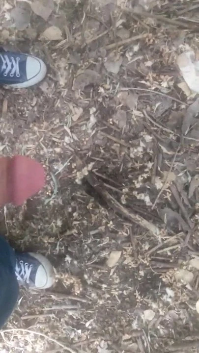 Me cumming in the woods