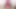 Echtes Geficke im Deutschen SwingerClub in Berlin Teil 2